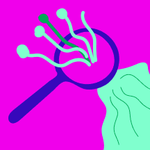 Image of a magnifying glass