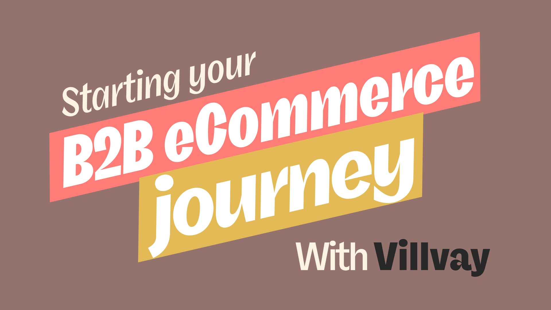 Starting your B2B eCommerce journey with Villvay